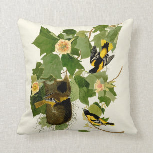 Baltimore Oriole Birds Dekorativ kudde