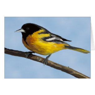 Baltimore Oriole Card OBS Kort
