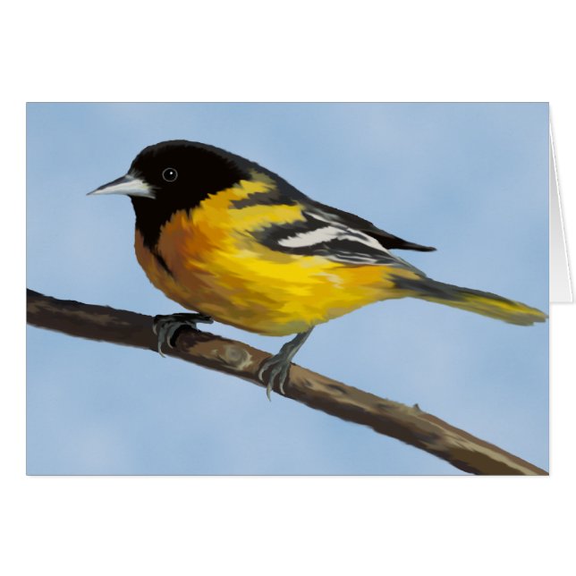 Baltimore Oriole Card OBS Kort (Framsidan Horizontal)