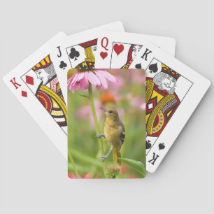 Baltimore Oriole Casinokort
