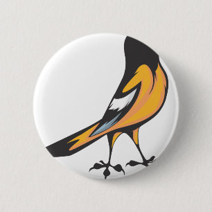 Baltimore Oriole fågel Knapp