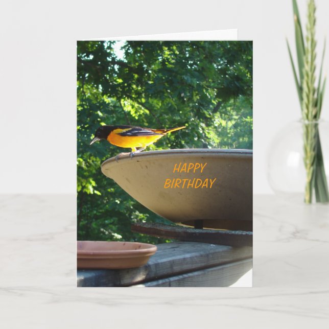 Baltimore Oriole, födelsedag Kort (Framsida)