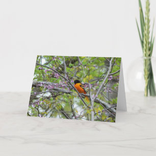 Baltimore Oriole-hälsningskort Tack Kort