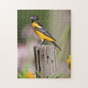 Baltimore Oriole-hona i blomsterträdgård Pussel