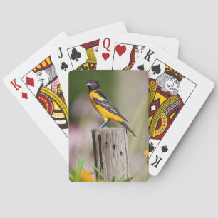 Baltimore Oriole-hona i blomsterträdgård Spelkort