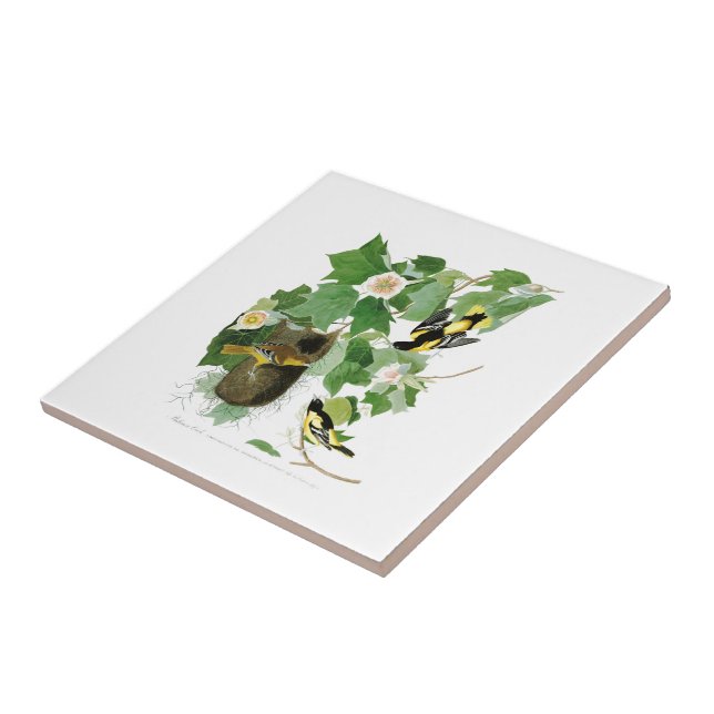 Baltimore Oriole John James Audubon fåglar Amerika Kakelplatta (Sidan)