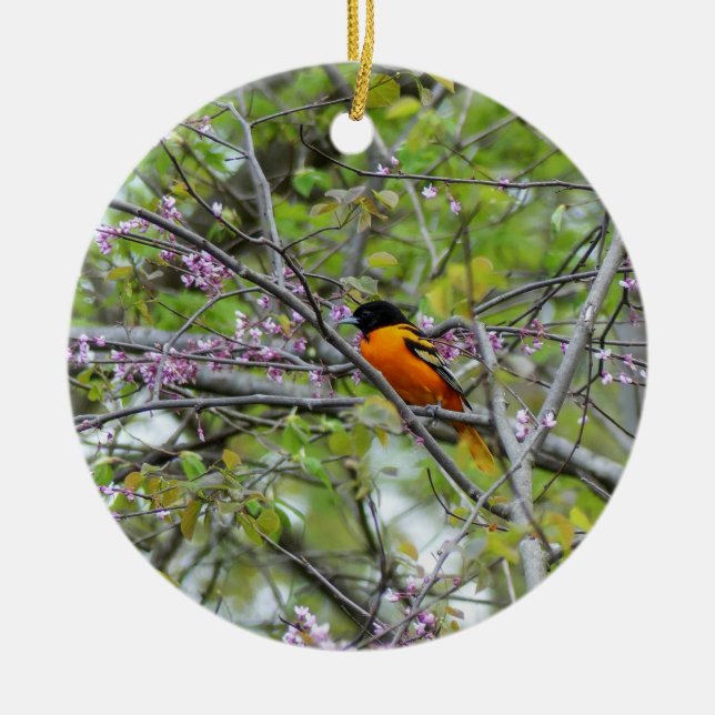 Baltimore Oriole Julgransprydnad Keramik (Framsidan)