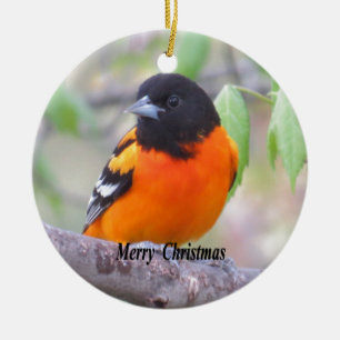 Baltimore Oriole Julgransprydnad Keramik