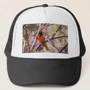 Baltimore Oriole Keps