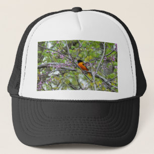 Baltimore Oriole Keps