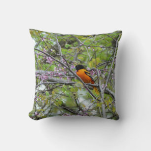 Baltimore Oriole Kudde