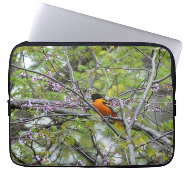 Baltimore Oriole Laptop Fodral (Framsidan)