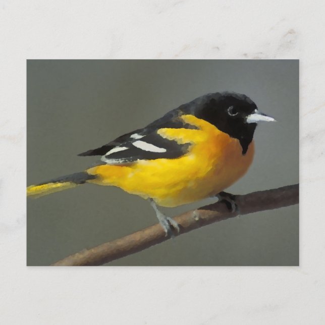 Baltimore Oriole Logotyp (palett) Vykort (Framsida)