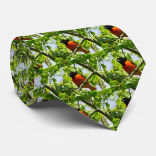 Baltimore Oriole Manar Tie Slips