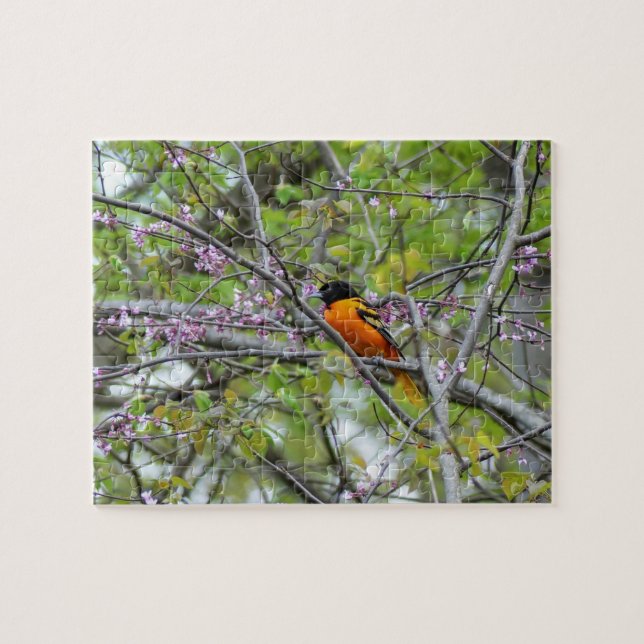 Baltimore Oriole Pussel (Horisontell)