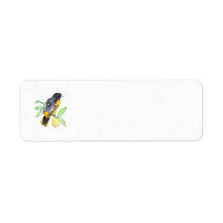 Baltimore Oriole-Returetiketter Returadress Etikett