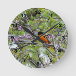 Baltimore Oriole Rund Klocka