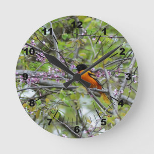 Baltimore Oriole Rund Klocka