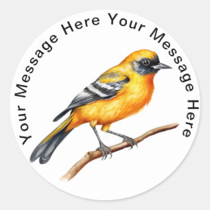 Baltimore Oriole Runt Klistermärke