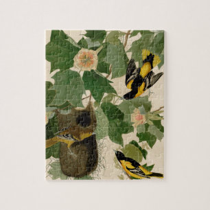 Baltimore Oriole sällsynt Audubon Pussel