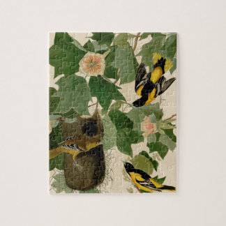 Baltimore Oriole sällsynt Audubon Pussel