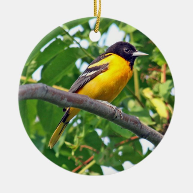 Baltimore Oriole smyckar Julgransprydnad Keramik (Framsidan)