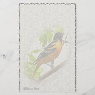 Baltimore Oriole Specialpappersvaror Brevpapper