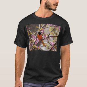 Baltimore Oriole T Shirt