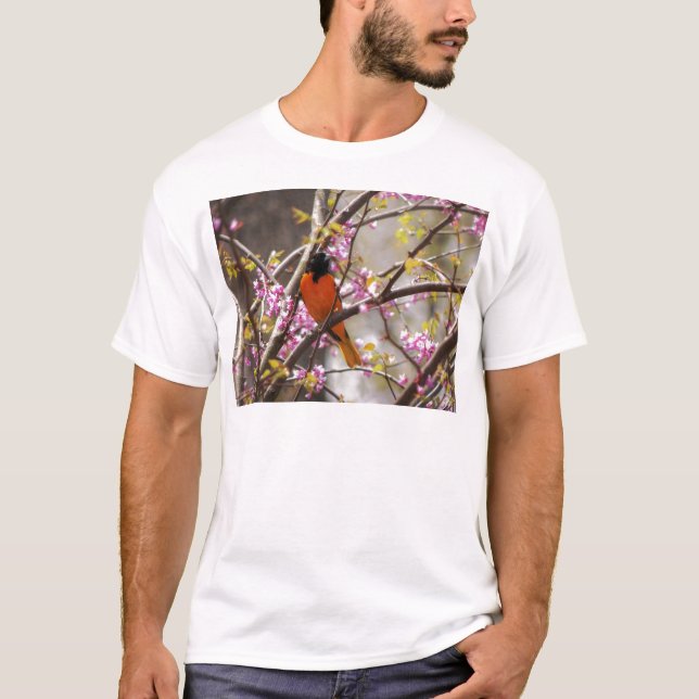 Baltimore Oriole T Shirt (Framsida)