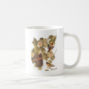 Baltimore Oriole Trio Kaffemugg