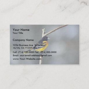 Baltimore Oriole Visitkort