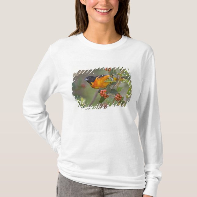 Baltimore-trast T Shirt (Framsida)