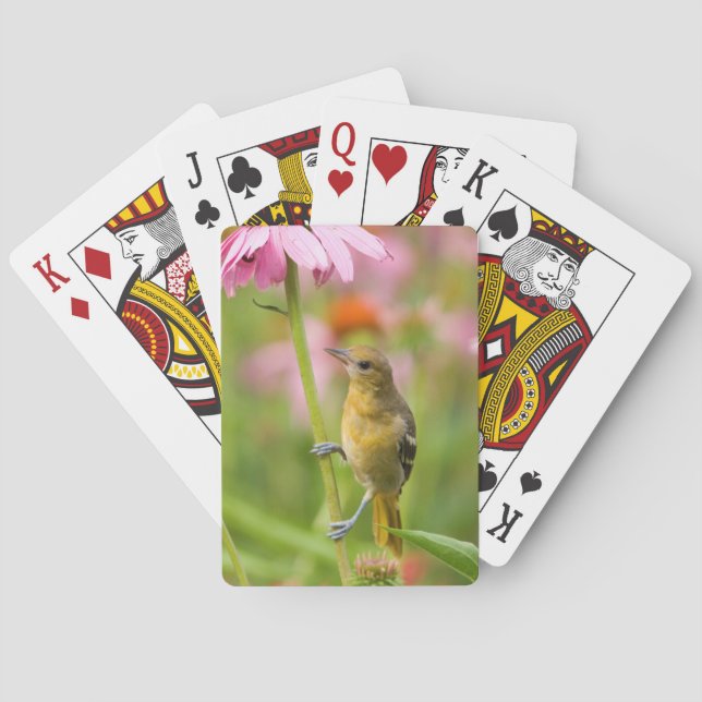 Baltimore-trästare Casinokort (Baksidan)