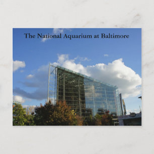 Baltimore Vykort