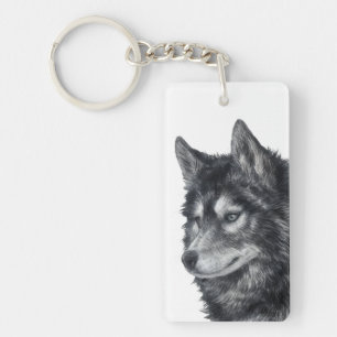 Balto Hund Illustration