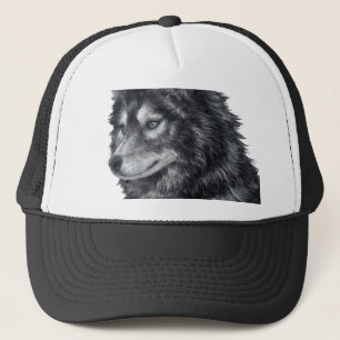 Balto Hund Keps