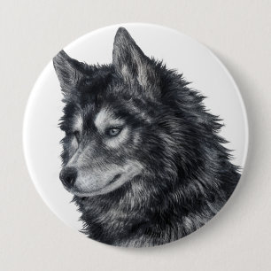 Balto Hund Knapp