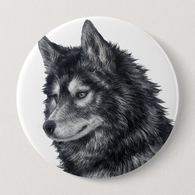 Balto Hund Knapp (Framsida)