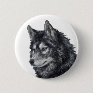 Balto Hund Knapp
