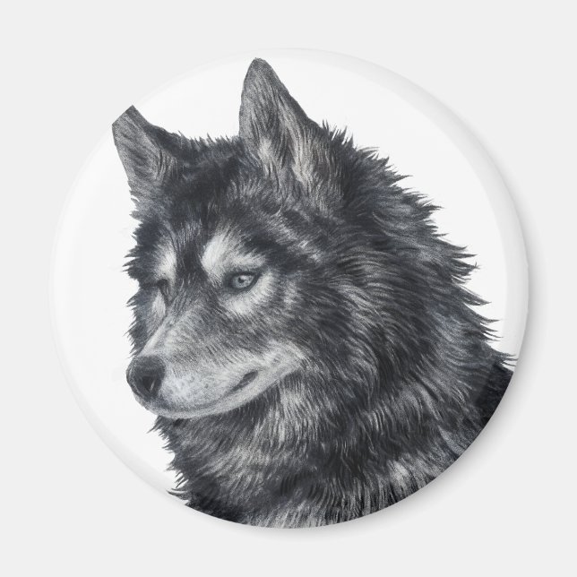 Balto Hund Magnet (Framsidan)