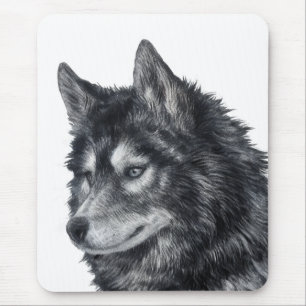 Balto Hund Musmatta