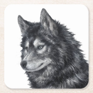 Balto Hund Underlägg Papper Kvadrat