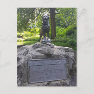Balto Statue i Central Park Vykort