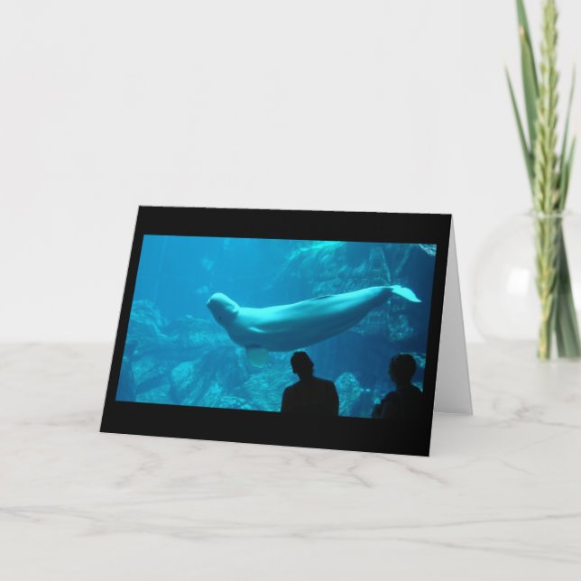 Baluga Kort (Framsida)