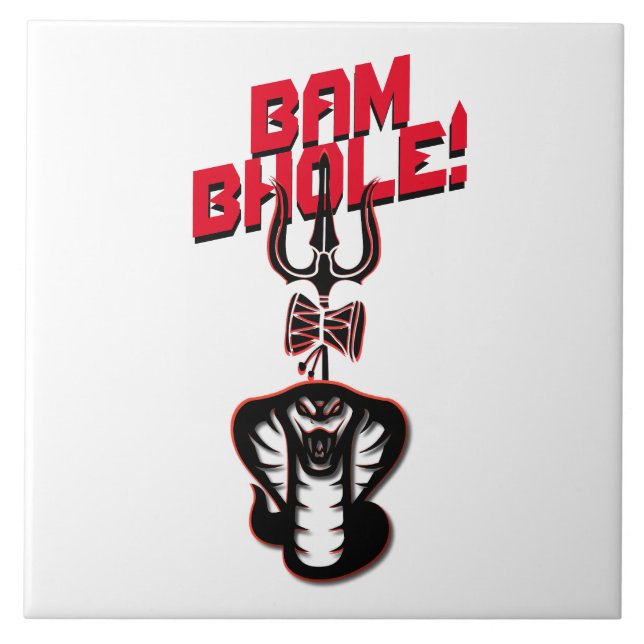 "BAM BHOLE" LORD SHIVAS NAAG AND TRISHUL KAKELPLATTA (Framsidan)