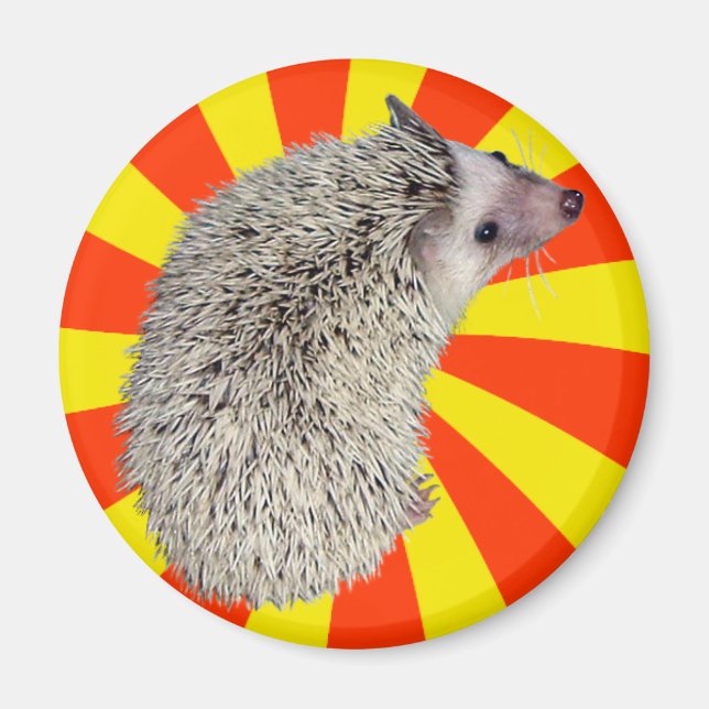 BAM! Hedgehog Magnet 2 (Framsidan)