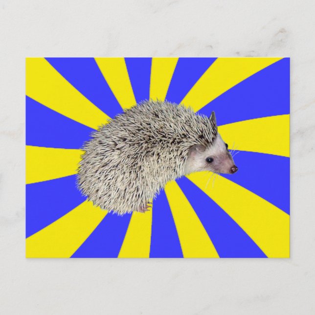 BAM! Hedgehog Postcard 2 Vykort (Framsida)