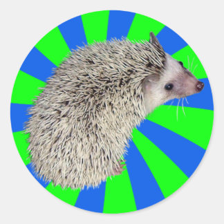 BAM! Hedgehog Stickers 2 Runt Klistermärke