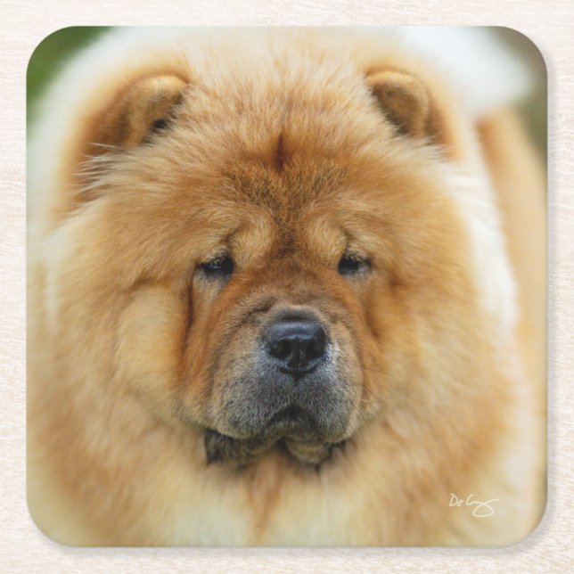 Bamba Chow underlägg Papper Kvadrat (Framsidan)