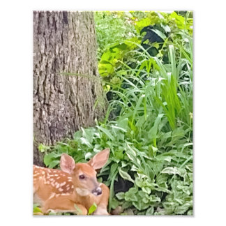 Bambi Fototryck